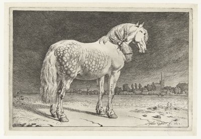 フリージアの馬 馬（シリーズタイトル） 作： Paulus Potter