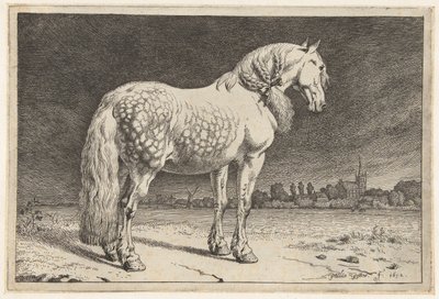 フリージアの馬 馬（シリーズタイトル） 作： Paulus Potter