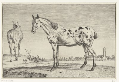 ドッキングされた馬 馬（シリーズタイトル） 作： Paulus Potter