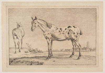 馬のシリーズより「嘶く馬 作： Paulus Potter