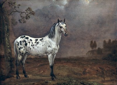 ピエバルドホース 作： Paulus Potter