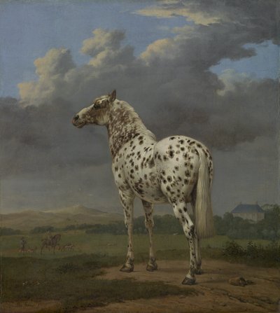 「まだら」の馬、c.1650-4（キャンバスに油彩） 作： Paulus Potter