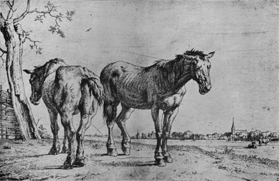 2つのプラウ馬、1652年 作： Paulus Potter