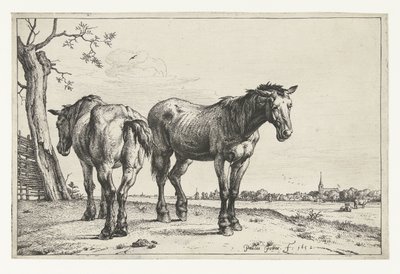 2 頭の鋤馬 馬（シリーズタイトル） 作： Paulus Potter