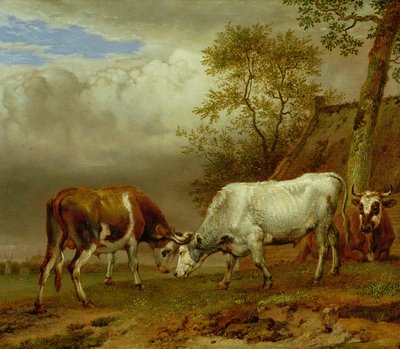 ロックされた角を持つ2頭の雄牛、1653年 作： Paulus Potter