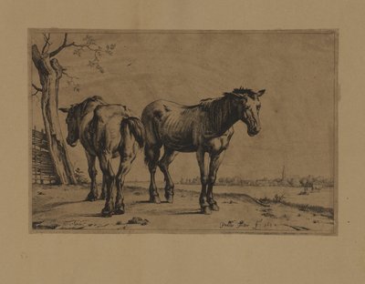 2頭の馬 作： Paulus Potter