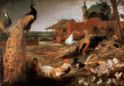 「孔雀の父のカラス」、c1615-1690 作： Pauwel de Vos