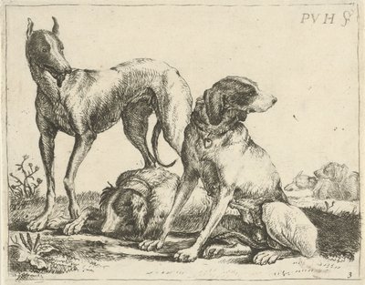 3匹の犬 いろいろな犬（連載タイトル） 作： Pauwels van Hillegaert