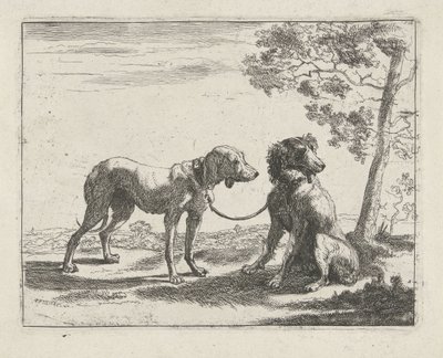 二匹の犬 犬（シリーズタイトル） 作： Pauwels van Hillegaert