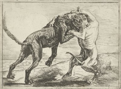 2匹の闘犬 犬（シリーズタイトル） 作： Pauwels van Hillegaert