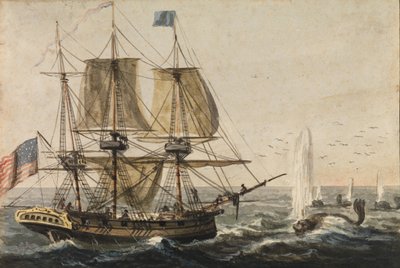 1811年頃、ニューファンドランド海岸沖で船の食料庫にタラを補充。 1813年。 作： Pavel Petrovic Svin