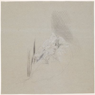 レース編みの研究 作： Peder Als