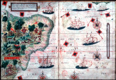 ポルトガルの航海士ペドロ・レイネルとロポ・ホーメンによるブラジルの地図、c1525。 作： Pedro Reinel