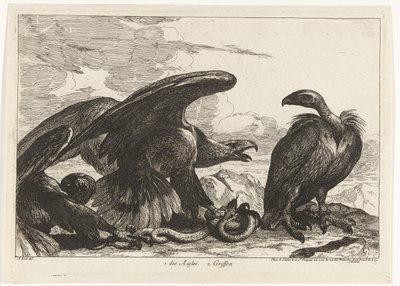 ハゲワシとワシとヘビ 1. des Aigles 2. グリフォン (オブジェクトのタイトル) ベルサイユ動物園の鳥 (シリーズ名) 作： Peeter Boel (attributed to)