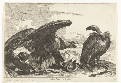 ハゲワシとワシとヘビ 1. des Aigles 2. グリフォン (オブジェクトのタイトル) ベルサイユ動物園の鳥 (シリーズ名) 作： Peeter Boel (attributed to)