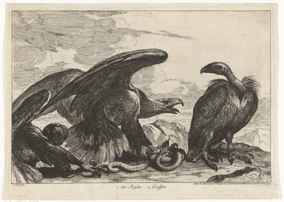 ハゲワシとワシとヘビ 1. des Aigles 2. グリフォン (オブジェクトのタイトル) ベルサイユ動物園の鳥 (シリーズ名) 作： Peeter Boel (attributed to)