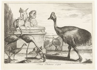 ヒクイドリ、紫オオバン、フラミンゴ 1. Bleuets 2 Becharoux 3. Casuels (オブジェクトのタイトル) ベルサイユ動物園の鳥 (シリーズ名) 作： Peeter Boel (attributed to)