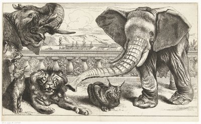 ベルサイユの庭園のゾウ、ライオン、オオヤマネコ 作： Peeter Boel (attributed to)