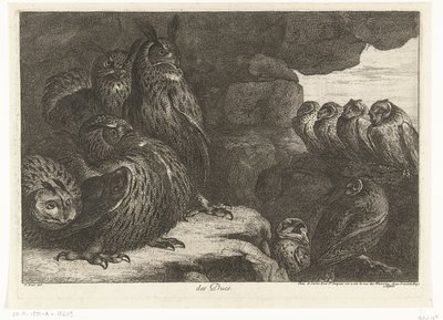 洞窟のフクロウ des Ducs (オブジェクトのタイトル) ベルサイユ動物園の鳥 (シリーズ名) 作： Peeter Boel (attributed to)