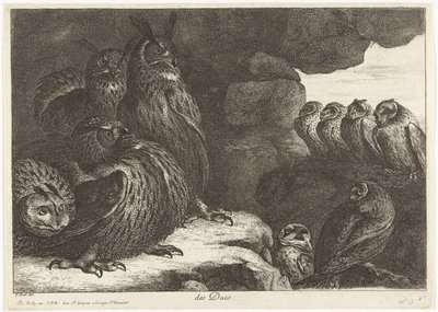 洞窟のフクロウ des Ducs (オブジェクトのタイトル) ベルサイユ動物園の鳥 (シリーズ名) 作： Peeter Boel (attributed to)