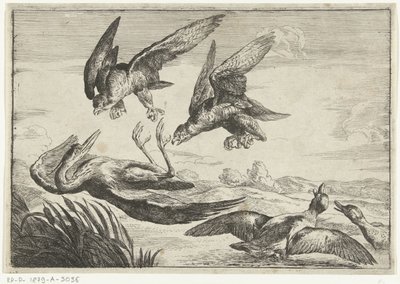 2羽のハヤブサがサギを攻撃 Diversi uccelli (シリーズタイトル) 作： Peeter Boel