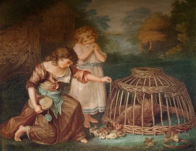給餌鶏、c1788 作： Peltro William Tomkins