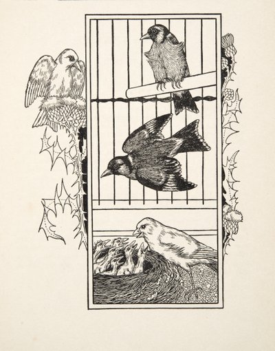 動物の百の逸話、パブからの慈善カナリア。 1924 作： Percy J. Billingshurst