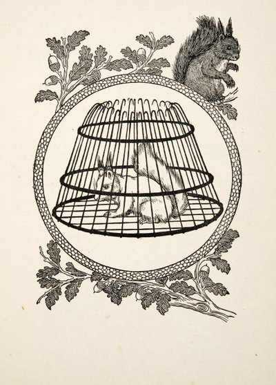 動物の百の逸話、パブからの難民のリス。 1924 作： Percy J. Billingshurst