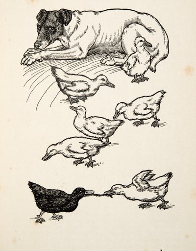 動物の百の逸話、パブからの単数の里親母。 1924 作： Percy J. Billingshurst