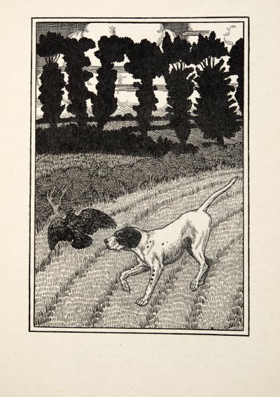 動物の百の逸話からの野鳥捕獲者を欺くこと、パブ。 1924 作： Percy J. Billingshurst