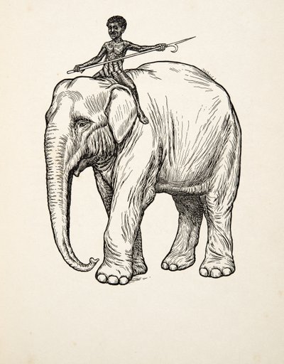 動物の百話、パブからの反省。 1924 作： Percy J. Billingshurst