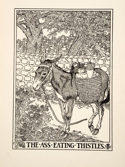 イソップの百寓話、アザミを食べる尻、pub.1903 作： Percy J. Billingshurst