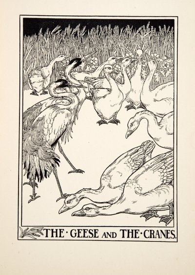 ガチョウとクレーン、イソップの百寓話、pub.1903から 作： Percy J. Billingshurst