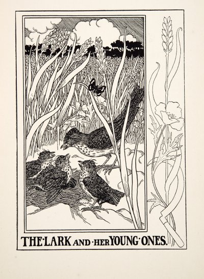 イソップ寓話集』より「ヒバリとその子供たち」（1903年刊）（彫刻 作： Percy J. Billingshurst