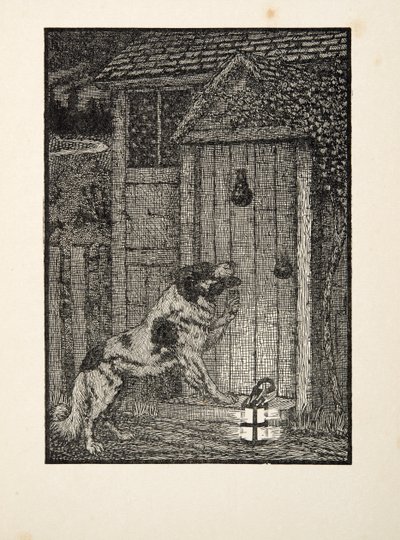ニューファンドランド犬、動物の百逸話、パブから。 1924 作： Percy J. Billingshurst
