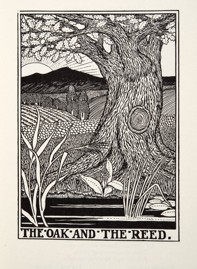 オークとリード、フォンテーヌ寓話、パブ。 1905 作： Percy J. Billingshurst