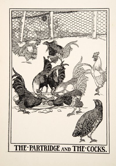 パートリッジとコック、イソップの百寓話、pub.1903から 作： Percy J. Billingshurst