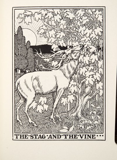 フォンテーヌ寓話、パブからのクワガタとツル。 1905 作： Percy J. Billingshurst