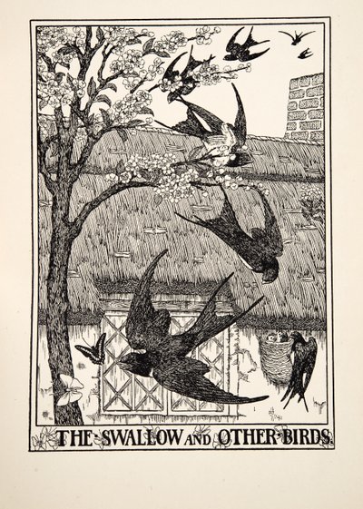 ツバメと他の鳥、イソップの百寓話、pub.1903 作： Percy J. Billingshurst
