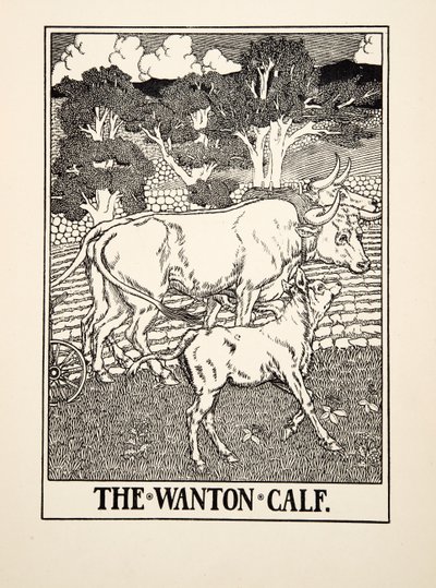 イソップの百寓話からのワントンの子牛、pub.1903 作： Percy J. Billingshurst