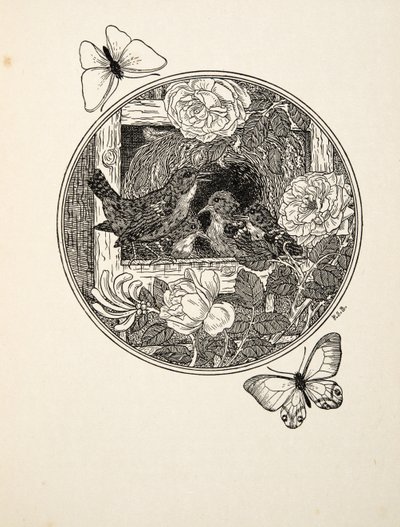Wrens Learning to Sing、from A Hundred Anecdotes of Animals、pub。 1924 作： Percy J. Billingshurst