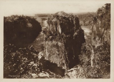 ホテルから見た峡谷、ビクトリアフォールズ (白黒写真) 作： Percy M. Clark