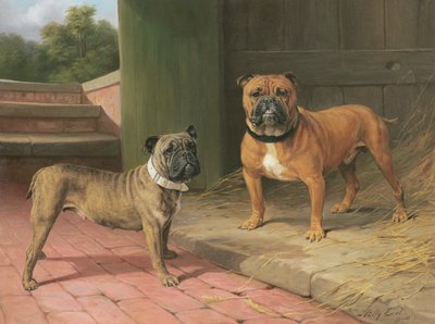納屋のそばのレッドブルドッグとブリンドルブルドッグ（キャンバスに油彩） 作： Percy Thomas Earl
