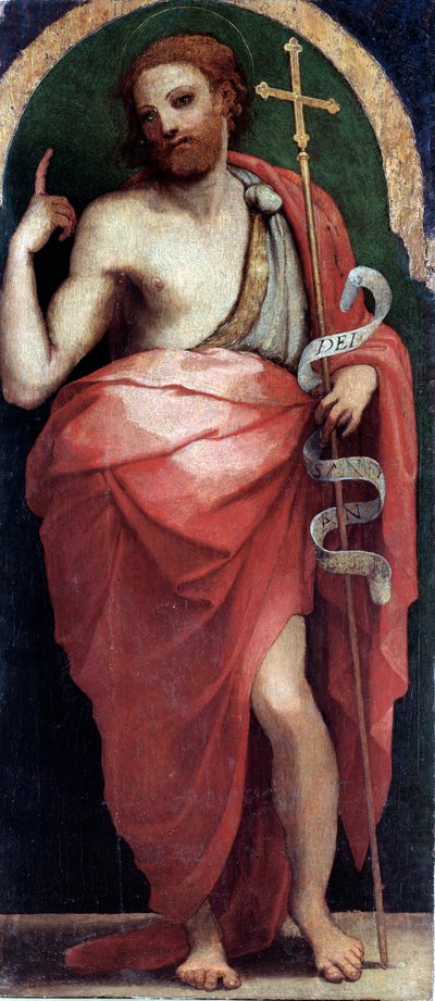 聖ヨハネ・バプティスト、サイドパネル（木に油彩、1535年頃 作： Perino del Vaga