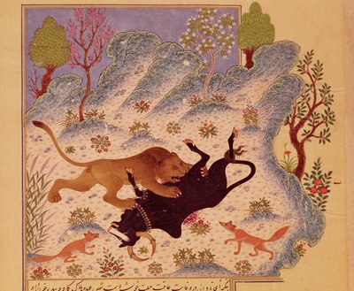 カビラ・ワ・ディムナの写本からの雄牛を攻撃して殺すライオン（紙にガッシュ） 作： Persian School
