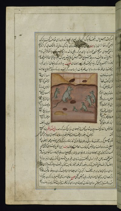 Lights ofCanopusのネズミに襲われている農家のトウモロコシ供給 作： Persian School