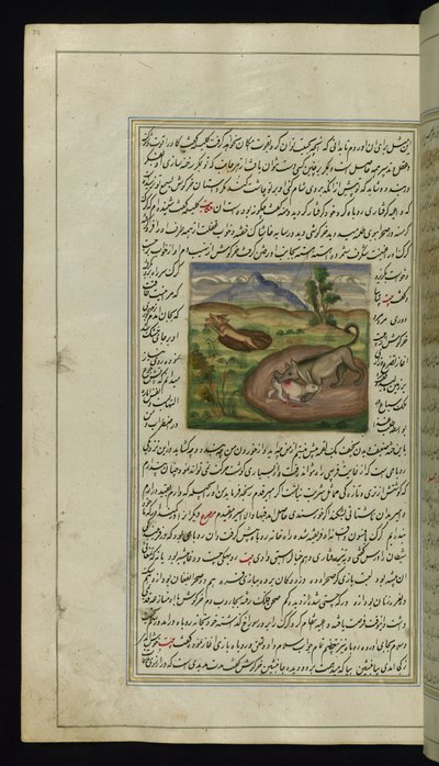ジャッカルは1847のライトのカノープスからウサギをむさぼり食う 作： Persian School