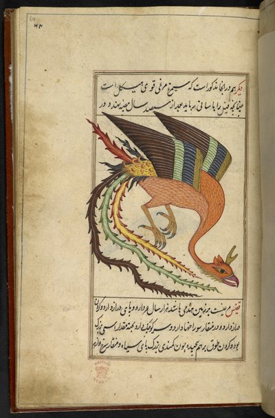 MS 15241 f.64r を追加 