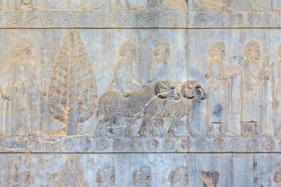 アパダナ宮殿と階段、ペルセポリス、イラン (砂岩) の壁のレリーフ 作： Persian School