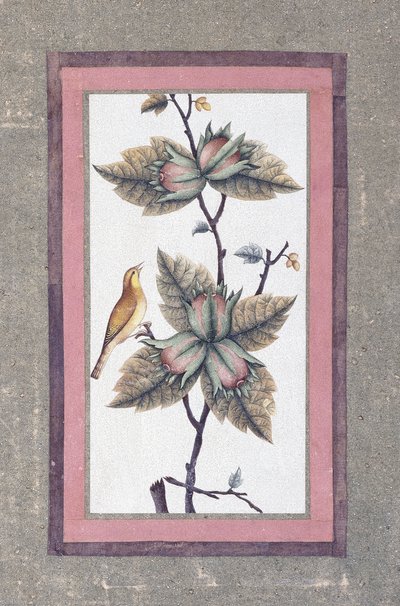 鳥と花の研究、1780年頃 作： Persian School